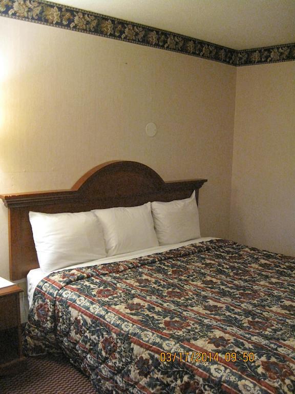 Elk Inn Motel Elkin Номер фото